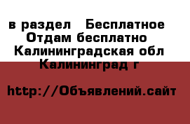  в раздел : Бесплатное » Отдам бесплатно . Калининградская обл.,Калининград г.